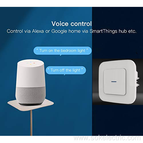 Alexa and Google Home Button Smart Power Outlet